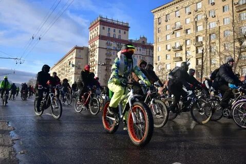 Проводятся в городах