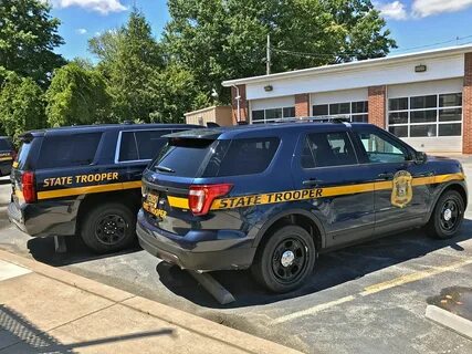 Police state