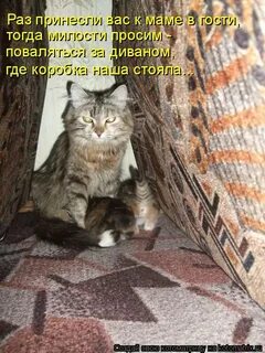Достала думать