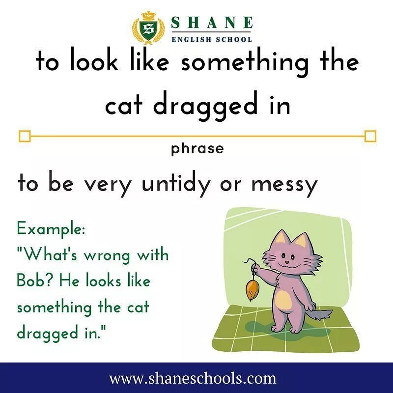 Roblox experiences on some mobile devices might be impacted right now. Whoops, looks like. Looks like something s. Идиомы с like. Now.