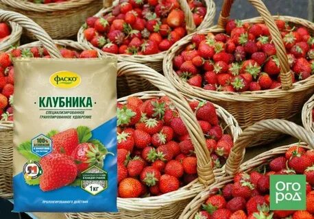 Фаско удобрения клубники