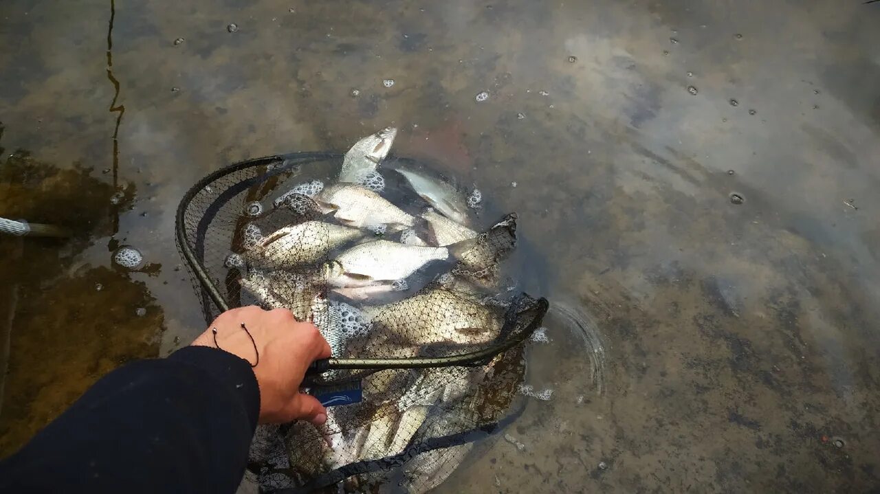 Ольховское водохранилище. Рыбалка на Ольховском водохранилище. Озеро Вайкне рыбалка. Лов на дне