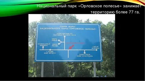 Орловское полесье сообщение