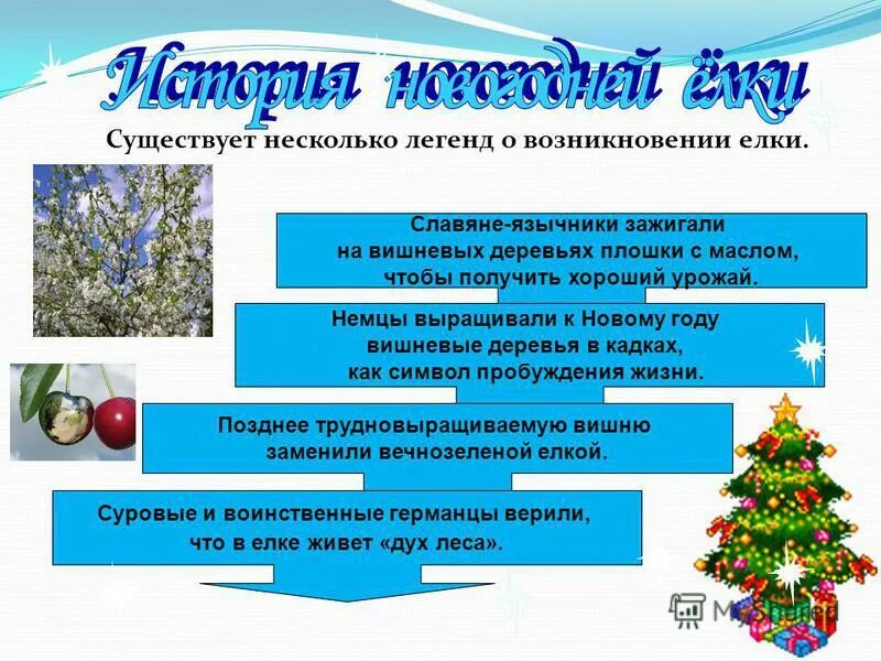 19 декабря день вечнозеленой елки картинки. вечнозеленые иголки елки. вечнозеленая елка. день поиска вечнозеленой елки 19 декабря. день поиска вечнозеленой елки 19 декабря.