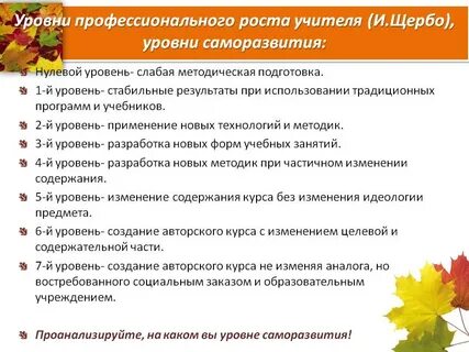 Уровни профессионализма учителя