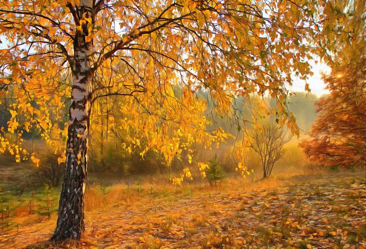 Придет осень золотая. Осенняя береза. Золотая осень. Береза осень. С наступлением осени.