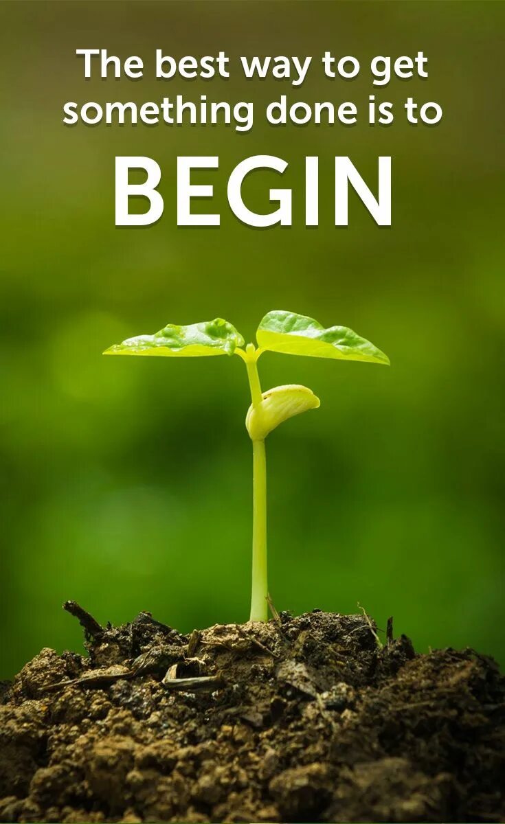 Begin to grow