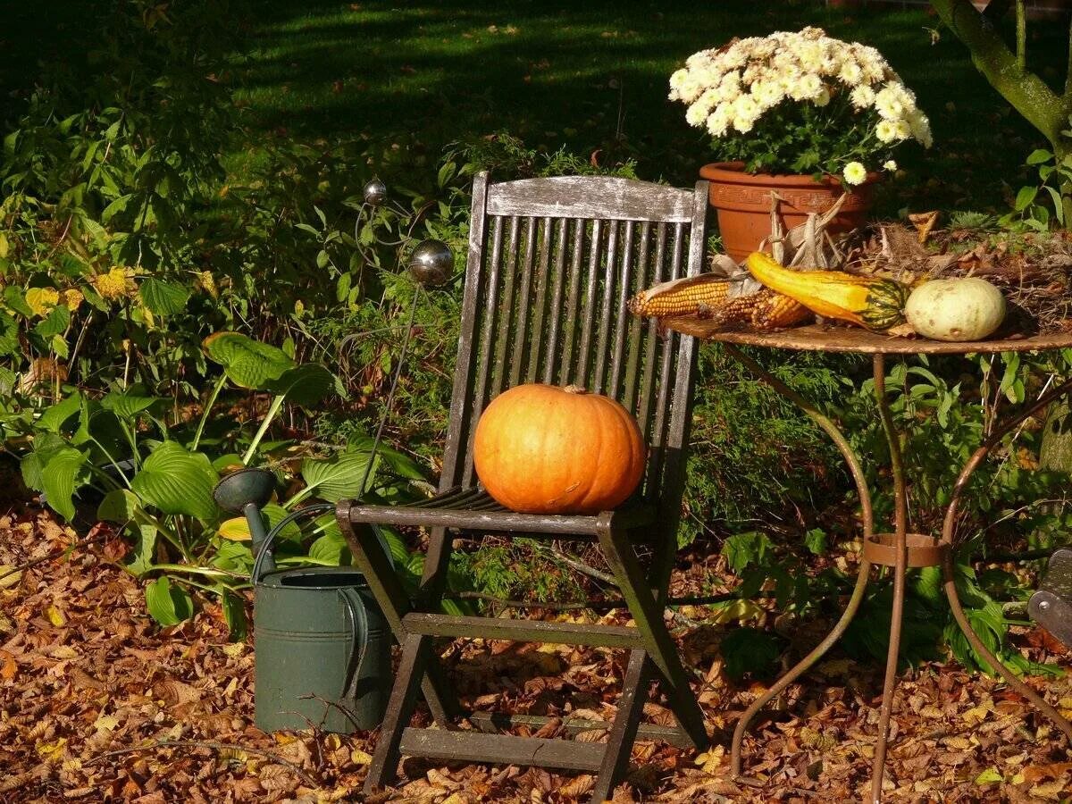 Работаем на дачном участке. Осенний огород. Осень в саду. Дача. Осень. Осенью на даче.