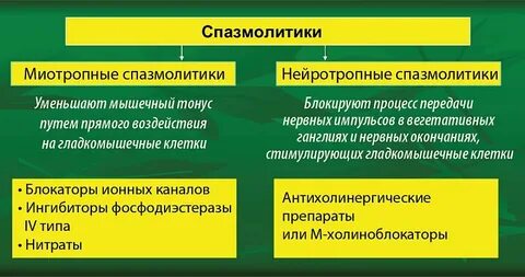 Спазмолитик это