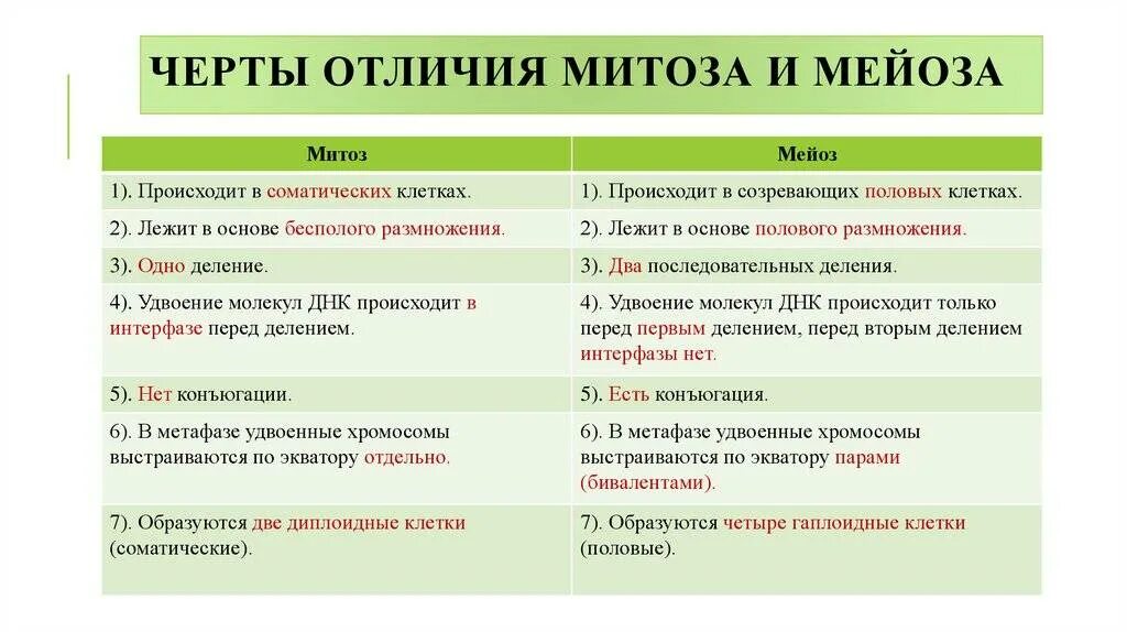 Укажите основные различия между. Различие митоза и мейоза кратко. Разница митоза и мейоза таблица. Сравнение митоза от мейоза таблица. Отличие митоза от мейоза.