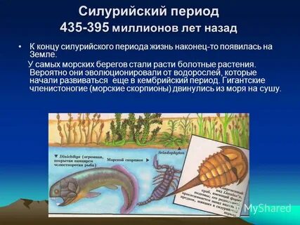 Ордовикский период силурийский период