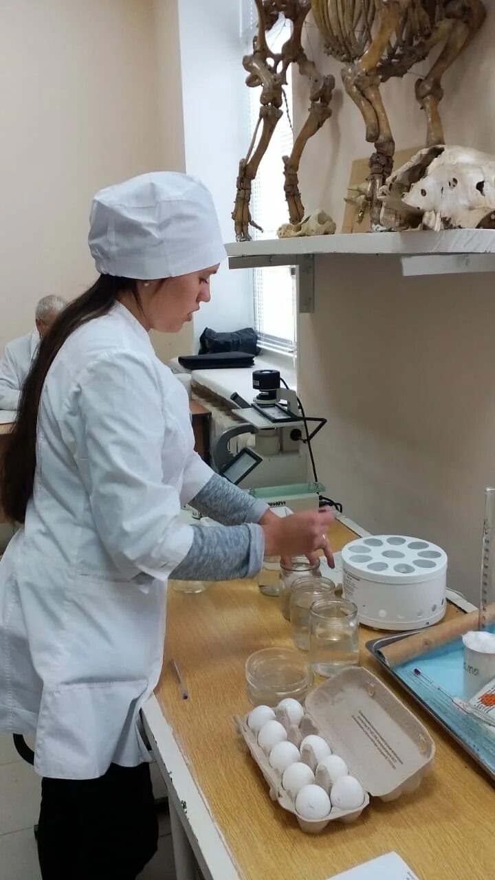 Ветеринарный работник. Студенты ветеринары на практике. Ветеринарная практика. Студенты ветеринары кубгау. Студент в халате.