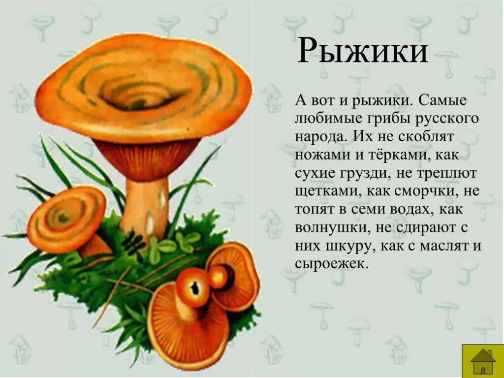 Написал рыжика. Рассказ о грибе Рыжик. Сообщение о грибе Рыжике 3 класс. Описание гриба Рыжик 2 класс. Рассказы про рыжиков грибов.