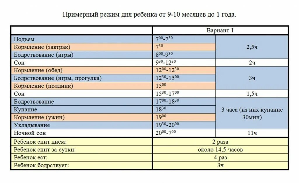 8 месяцев ребенку сколько должен спать днем. Режим для 11 месячного ребенка таблица. Режим 10 месячного ребенка на грудном вскармливании. Режим дня 11 месячного ребенка на грудном вскармливании. Режим 11 месячного ребенка на искусственном вскармливании.