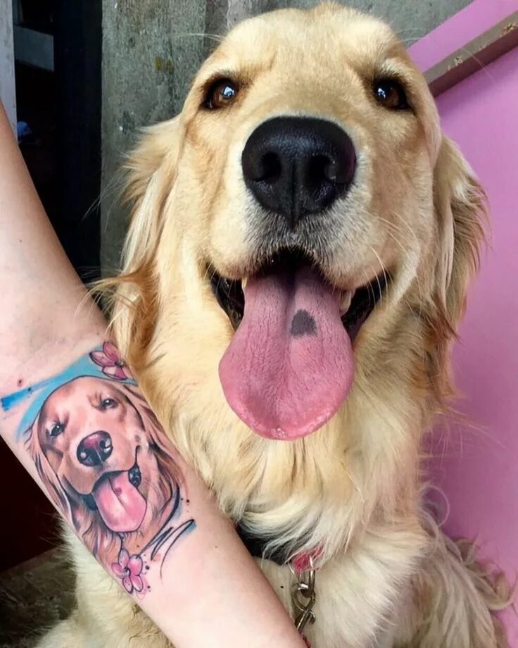 Идеи тату с собакой. Тату лицо собаки. Тату собака. Dogs tattoo. Идеи тату с собакой.