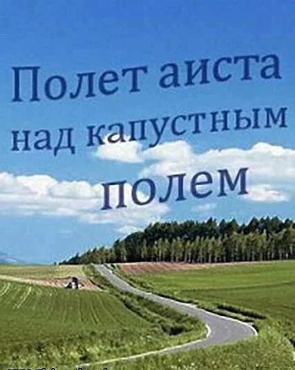 Полет аиста над капустным полем 2004. Полет над капустным полем. Анна хилькевич в фильме полет аиста над капустным полем. Полет аиста над капустным полем смотреть. Татьяна шитова в кино.