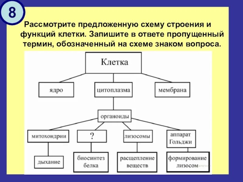 Пользуясь предложенными терминами