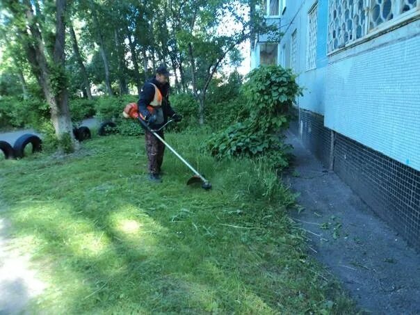 4. Косим траву. Уборка участка. Косить траву за забором. Стрижка газона юмор.