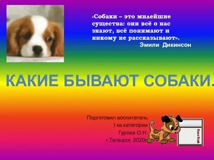 Презентация собака 2 класс
