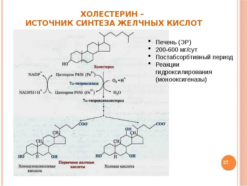 Ферменты холестерина. Реакции гидроксилирования желчных кислот. Синтез холестерина схема. Синтез желчных кислот из холестерола. Синтез желчных кислот биохимия реакции.