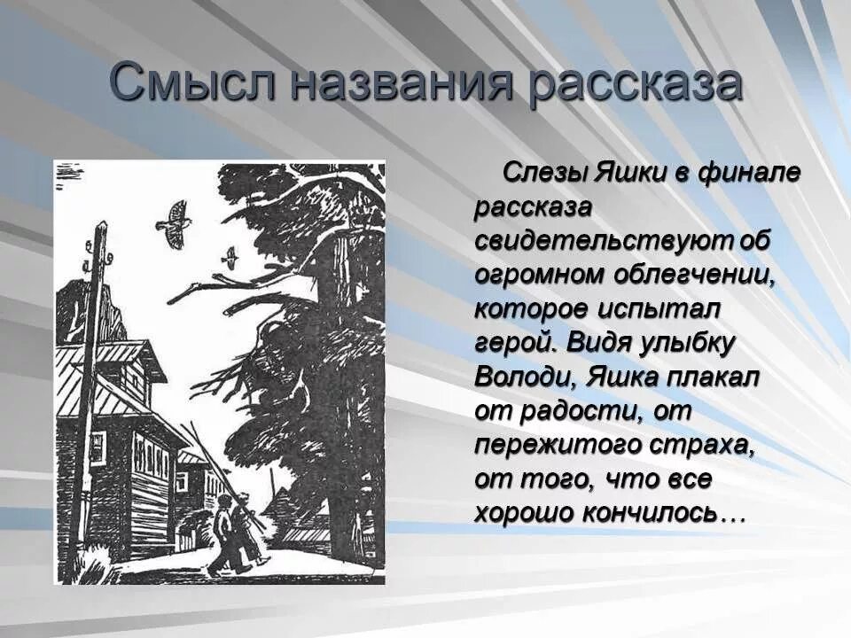 Ю Казаков тихое утро. Рассказ ю.Казакова "тихое утро". Рассказ тихое утро Казаков. Краткое содержание рассказа тихое утро