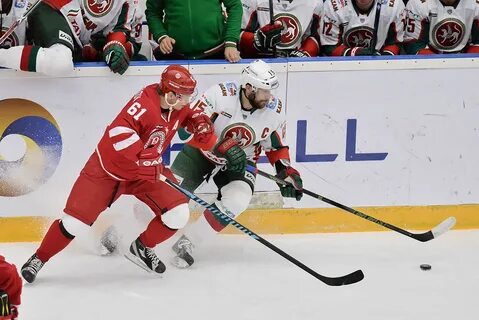 Витязь 2019