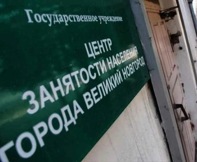 Цзн новгородская. Цзн новгородская. Центр занятости великий новгород. Центр занятости населения великий новгород. Великий новгород новгород центр занятости.