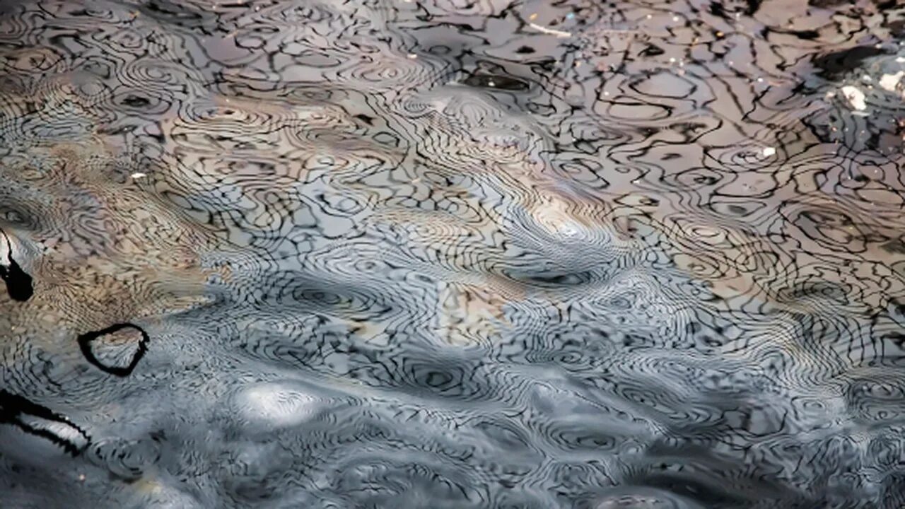 Обнаружение нефтепродуктов. Отбор проб нефтепродуктов. Экспертиза нефтепродуктов. Датчик измерения нефтепродуктов в воде. Исследование нефтепродуктов и горюче-смазочных материалов.