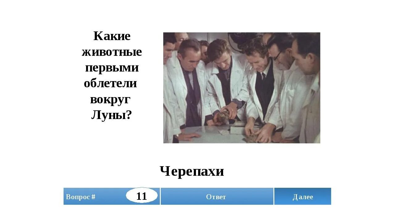 Какое животное первым облетело вокруг луны. Первыми облетели вокруг Луны черепахи. Какое животное первым облетело луну?. Кто первым облетел вокруг Луны. Черепахи облетевшие луну.