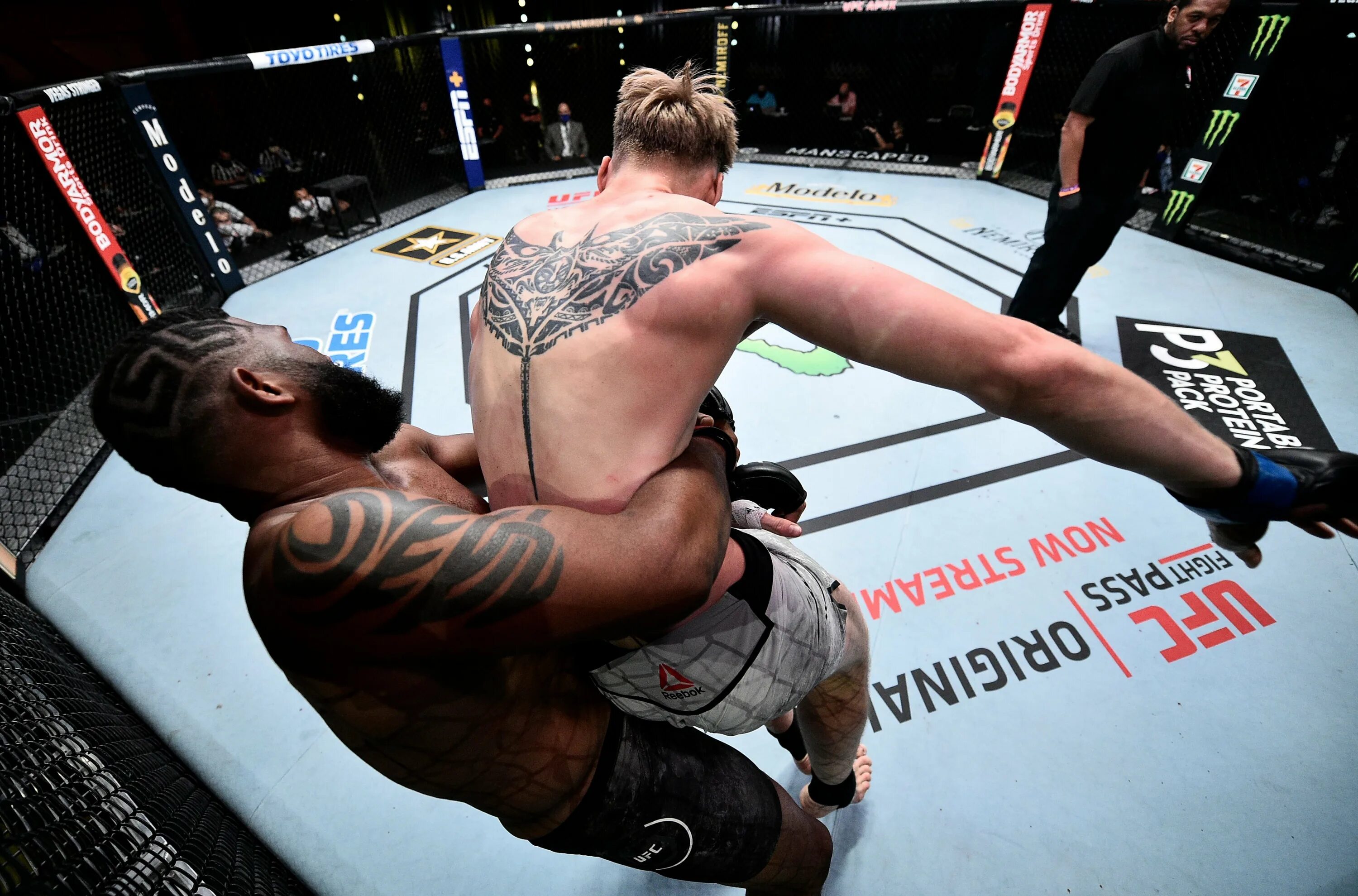 Смешанные единоборства ufc трансляция