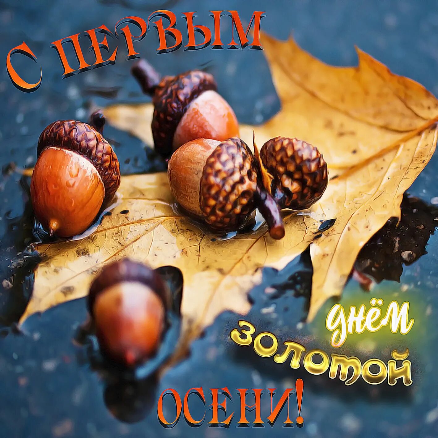 October first. С первым днем осени. Открытки с первым днем осени. Желуди. С первым осенним днем.