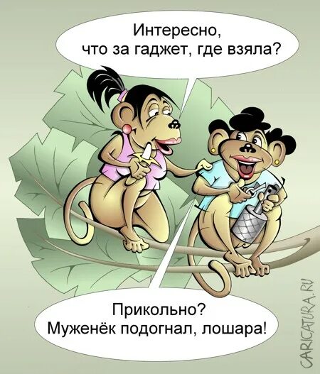 А чего тут думать то