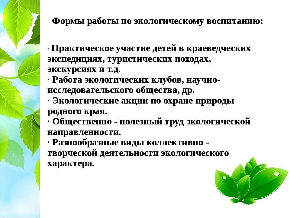 Направления экологического образования. Формы и методы работы по экологическому воспитанию. Экологическое воспитание формы работы. Методы и формы экологического воспитания дошкольников. Формы работы по экологии.