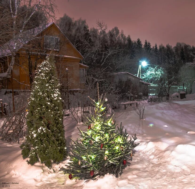 Средняя высота елки. От елочки до села кленовое. Володя летом отдыхает в деревне елочки огэ по математике. Елка картинка. От елочки до села кленовое.