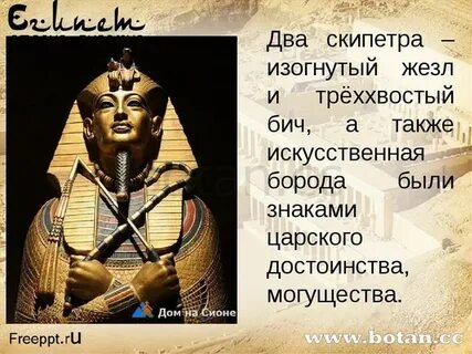 Египет власть