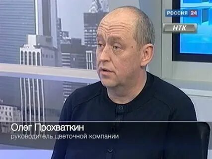 7 цветов директор