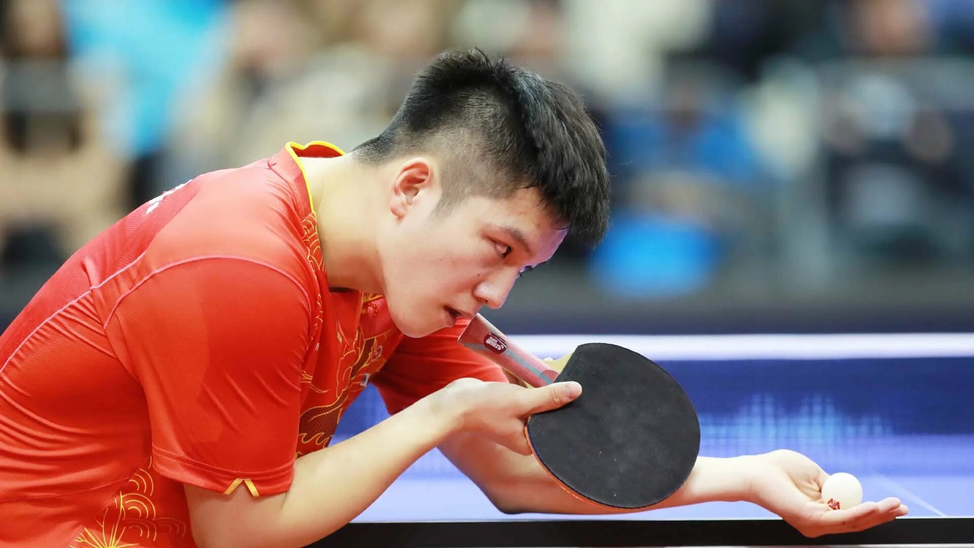 Настольный теннис топ. Фан Жендонг настольный теннис. Ma long теннисист. ITTF настольный теннис. Настольный теннис Лондон 2012.