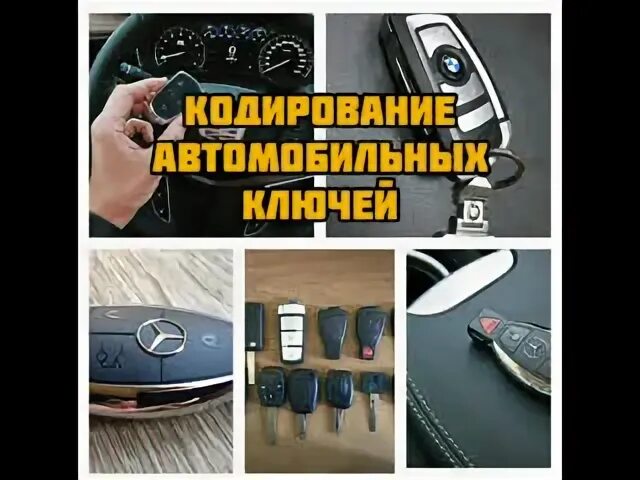 Чипа чип потерян