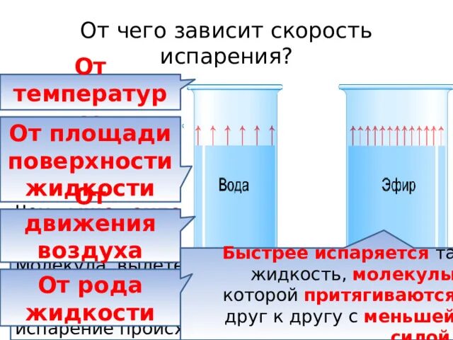 При испарении температура пара ответ. От чего зависит скорость. От чего зависит скорость испарения. Скорость испарения воды в зависимости от температуры. От чего зависит скорость испарения жидкости.