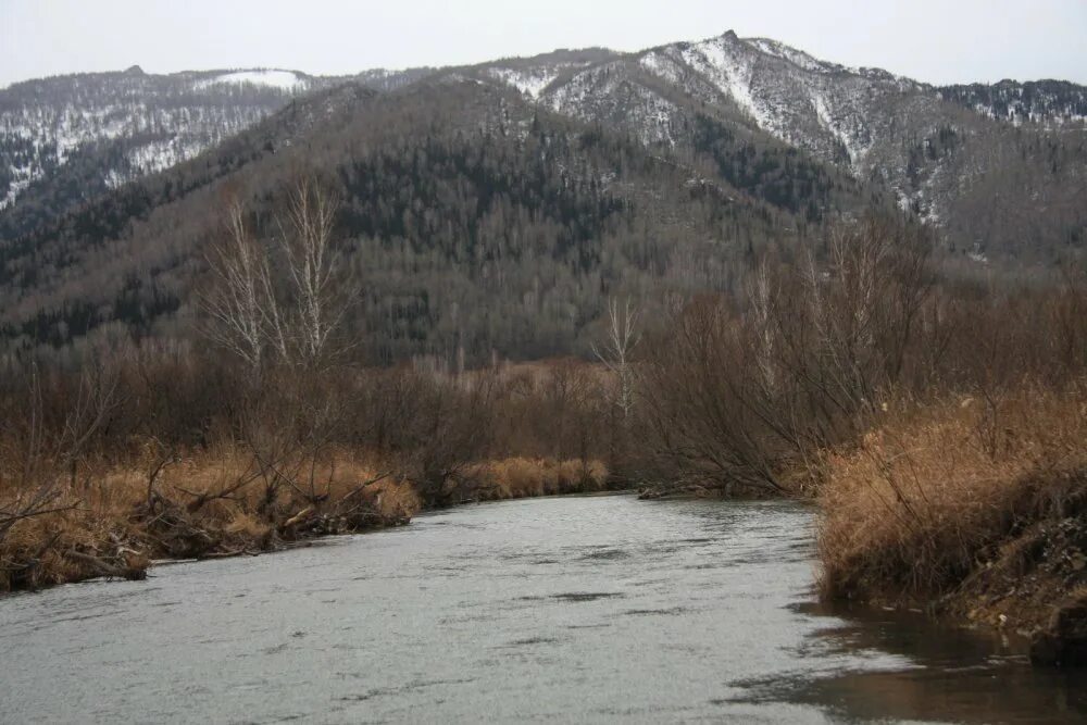 Алтайский край Краснощековский район село Тигирек. Село генералка. Генералка Краснощековский район. Деревня генералка Алтайский край Краснощековский район.