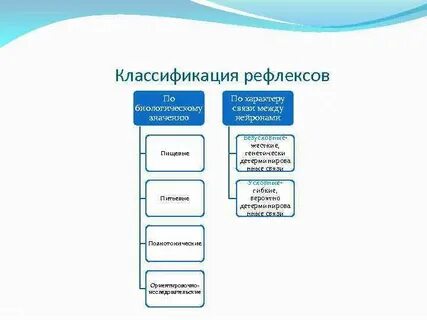 Классификация рефлексов по павлову