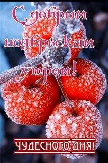 С добрым ноябрьским утром картинки