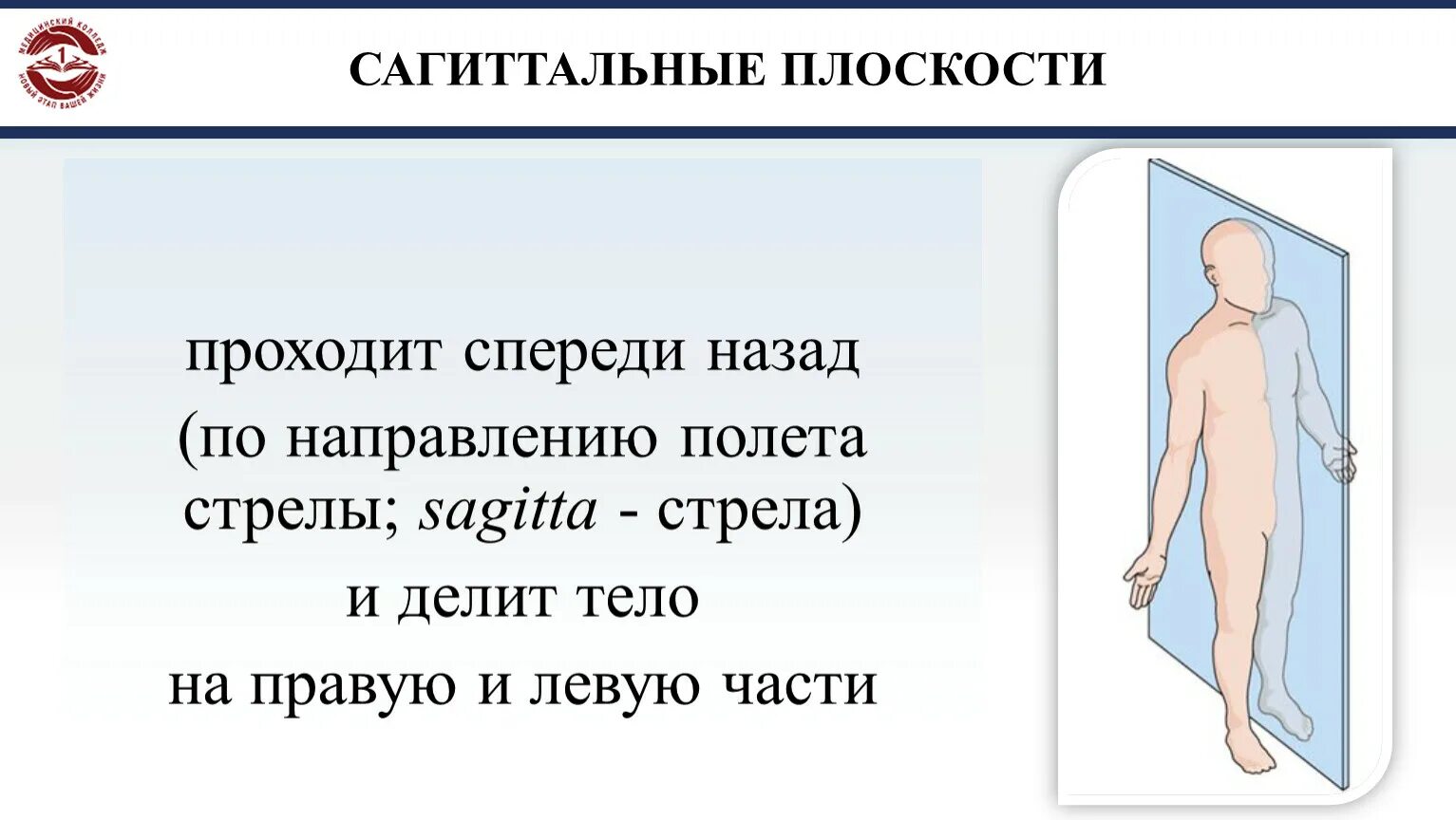 Спереди проходит