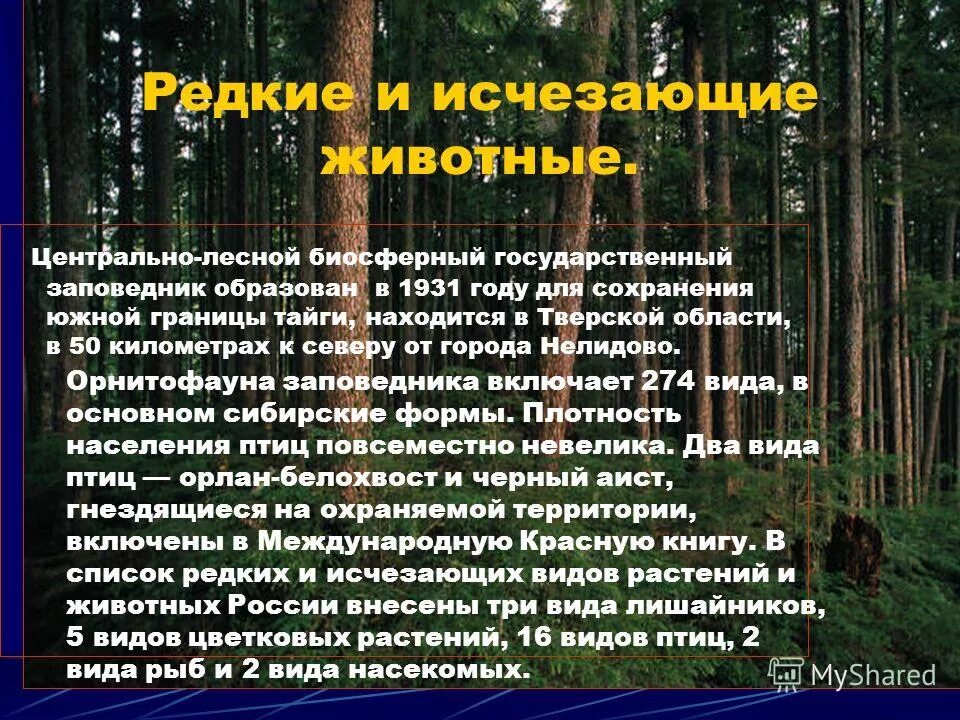 Особо охраняемые территории тайги. Лес тайга река вильва. Оопт тайги в россии. Заповедники тайги в россии. Двинско-пинежский заповедник в архангельской области.