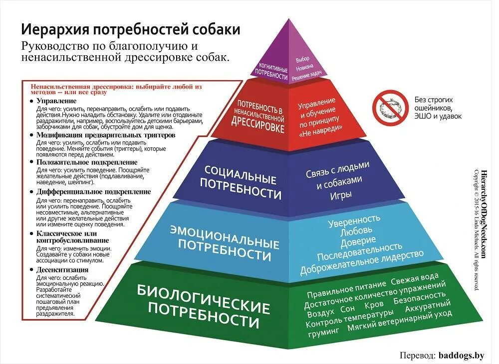 Значимые потребности. Потребности животных пирамида Маслоу. Классификация потребностей у собак. Иерархия потребностей собаки. Потребности саморазвития у собак.