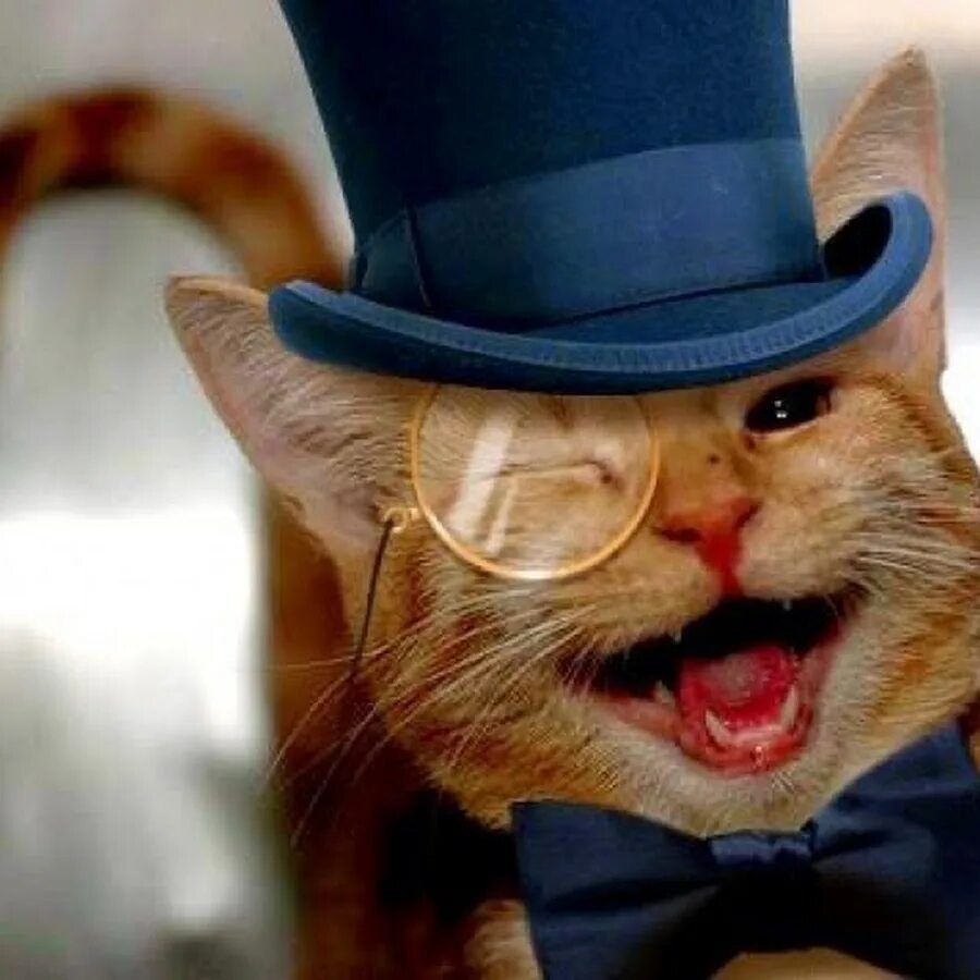 Чуть покруче. Кот в шляпе. Коты в шляпах. Кот в цилиндре. Не ждите чуда чудите сами.