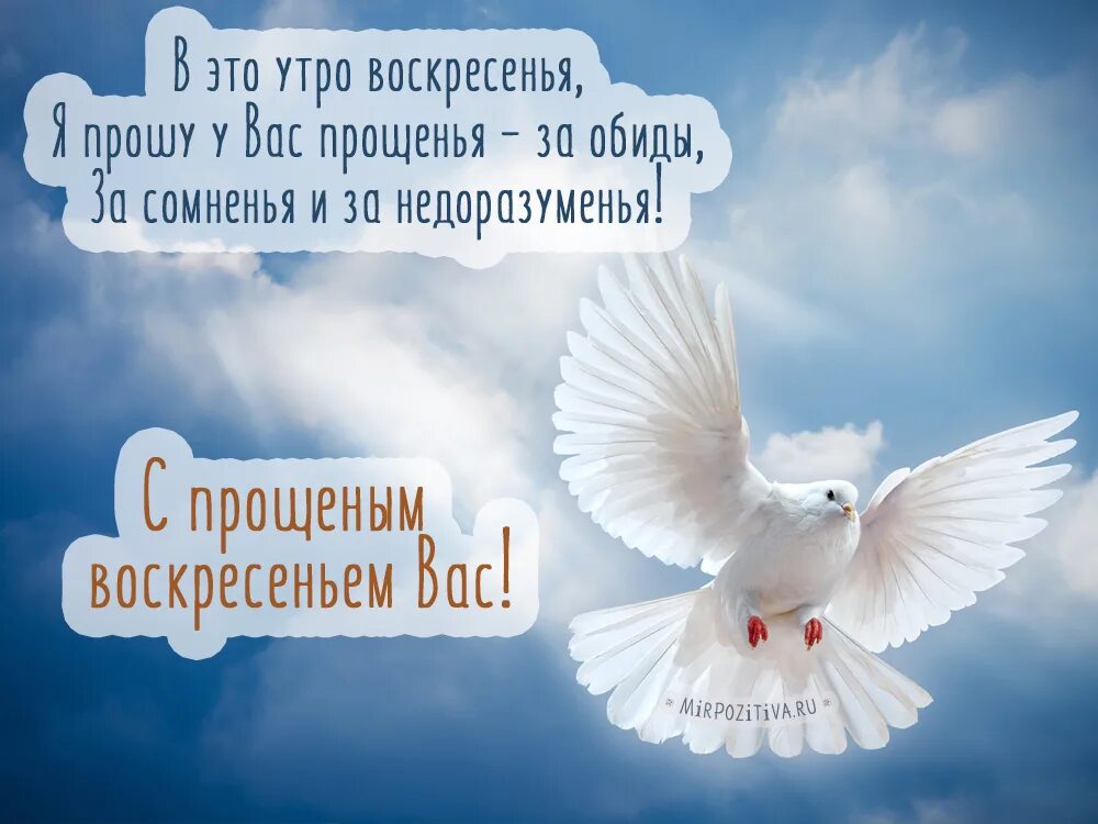 Пожелания на прощеное воскресенье. С прощенным воскресеньем. прощеное воскресенье открытка. с прощенным воскресеньем поздравления открытки. с прошегым воскресенье.