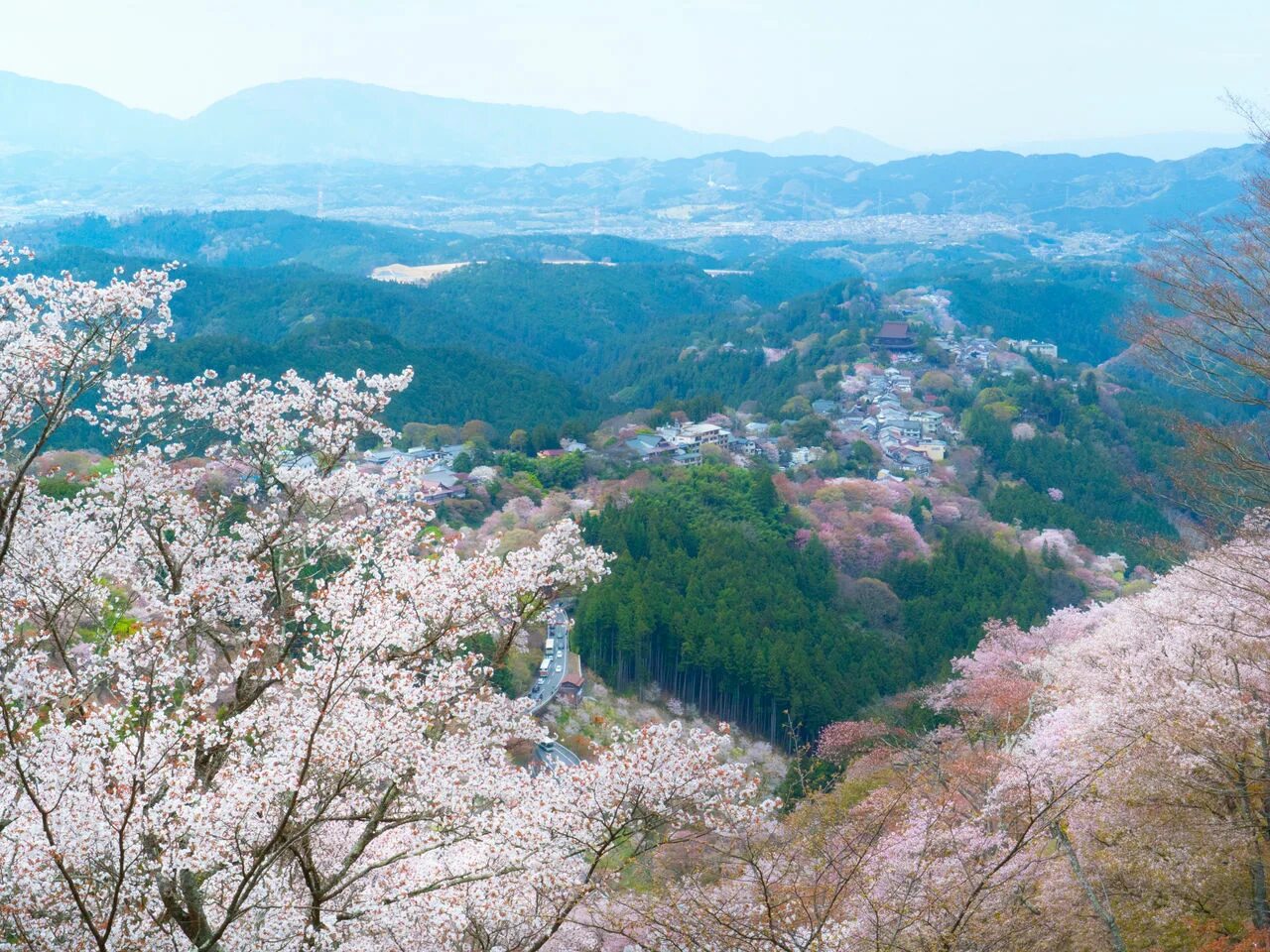 Гора Йосино (Япония). Гора Есино Япония. Гора Есино Япония сад Сакуры. Япония парк Есино Кумано.