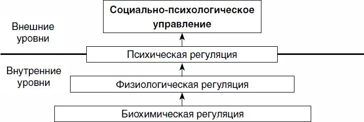 Уровни организации психического. Уровни организации психики. Уровни психической организации. Уровни функционирования психики. Уровни психической организации человека.