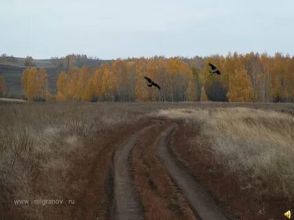 Волей блок